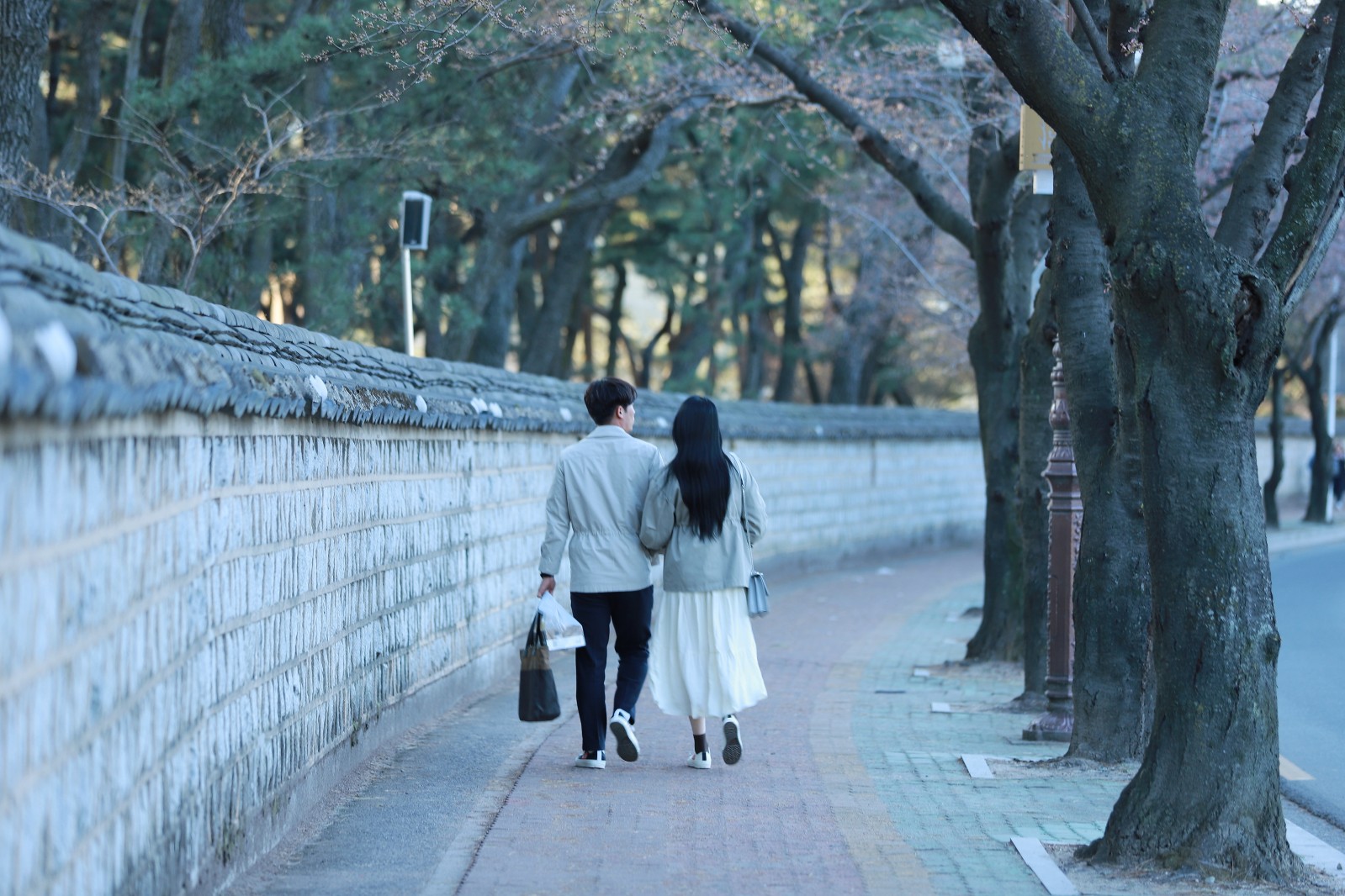 대릉원(2019년 봄)