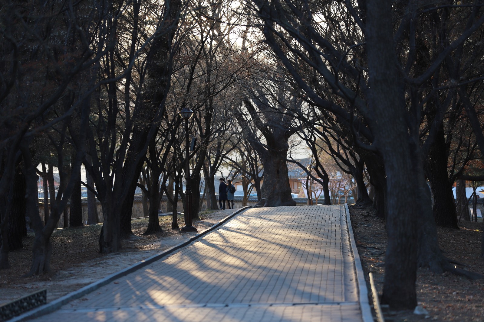 대릉원(2019년 봄)