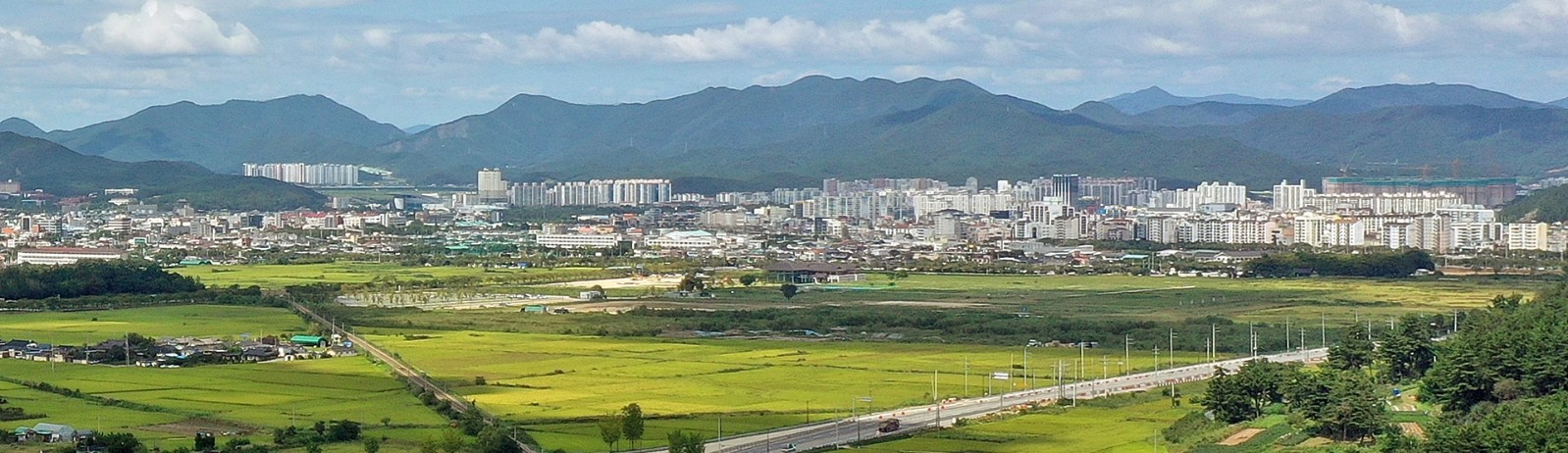 분황사