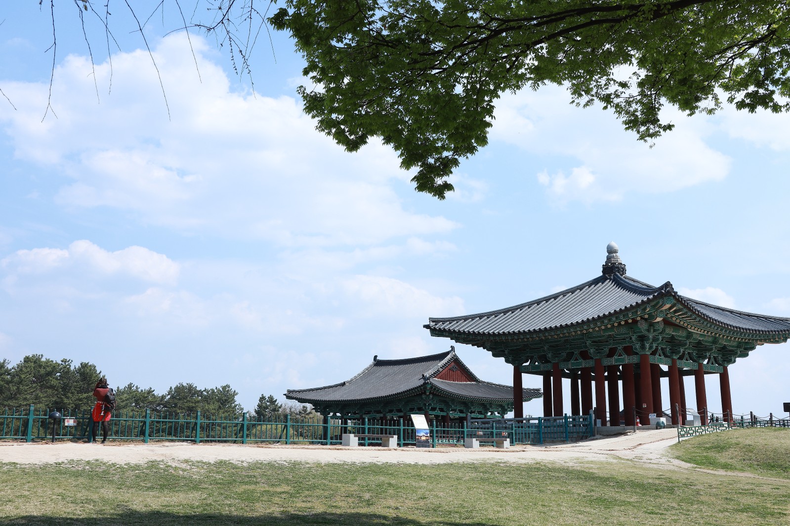 동궁과월지(2019년 봄)