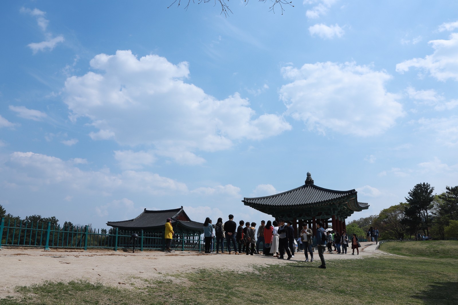 동궁과월지(2019년 봄)