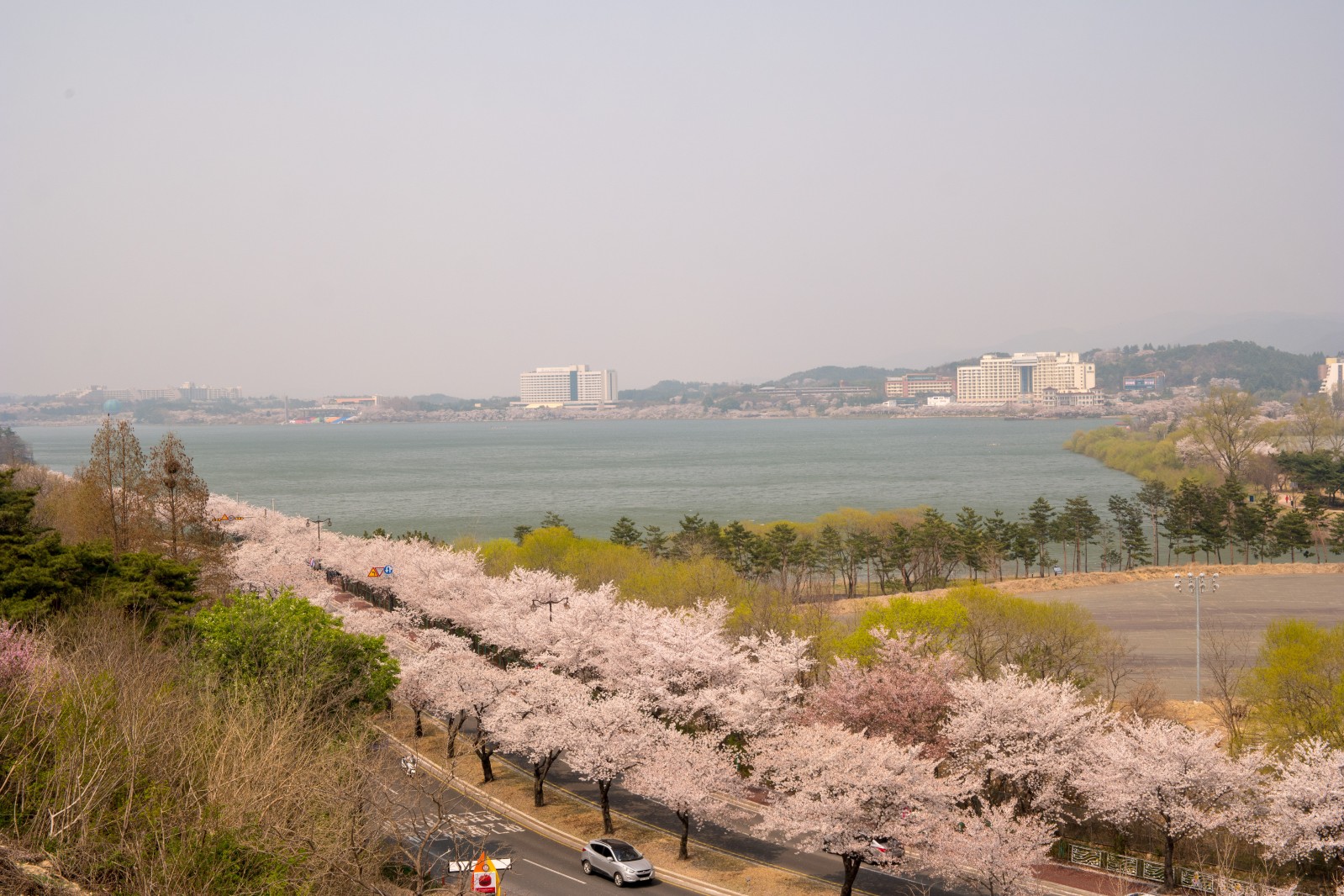 보문단지(2019년 봄)