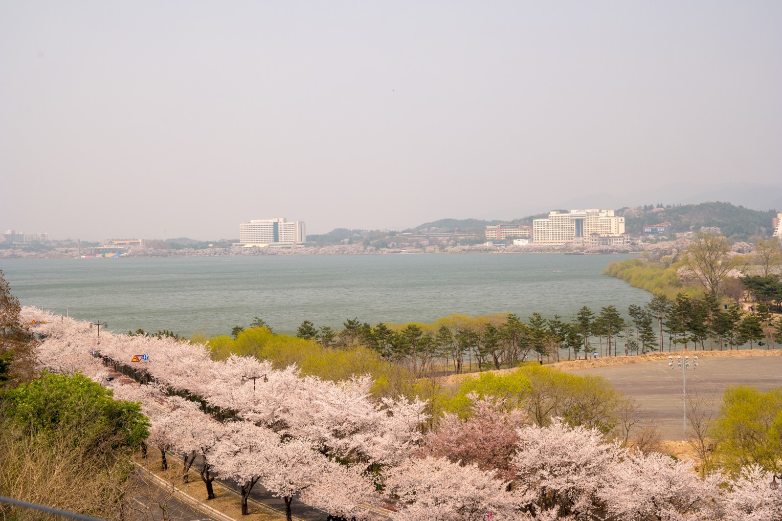 보문단지(2019년 봄)