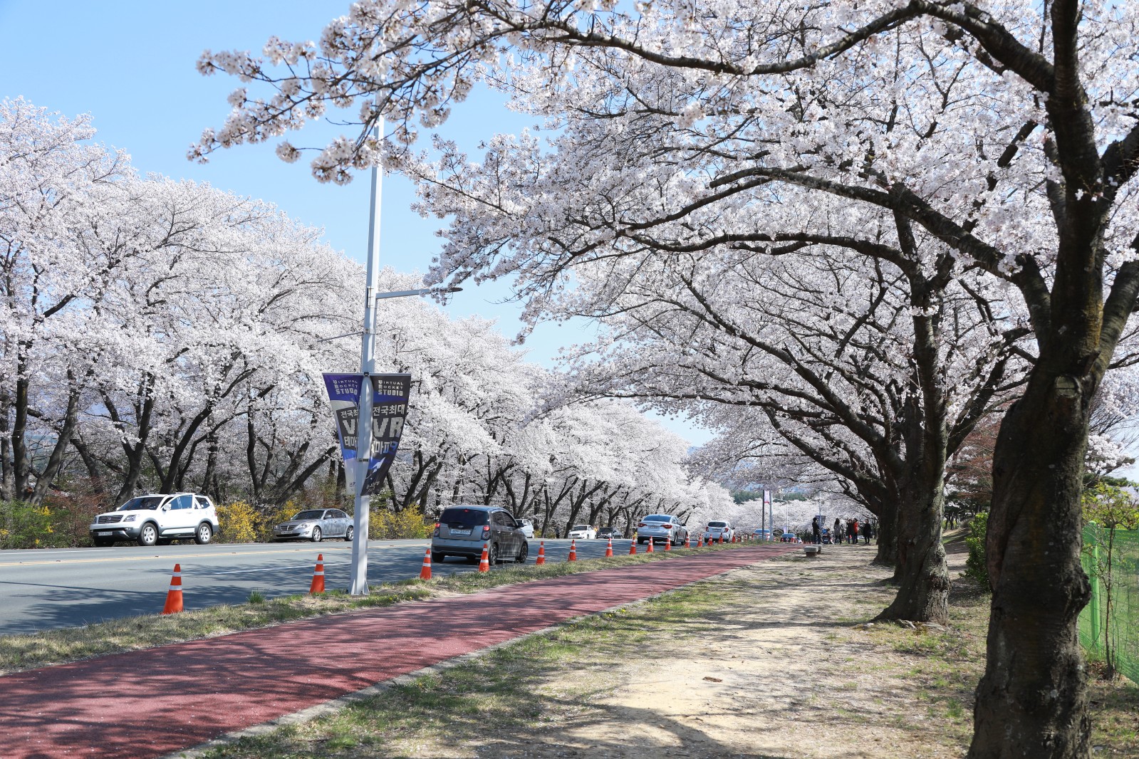 보문단지(2019년 봄)