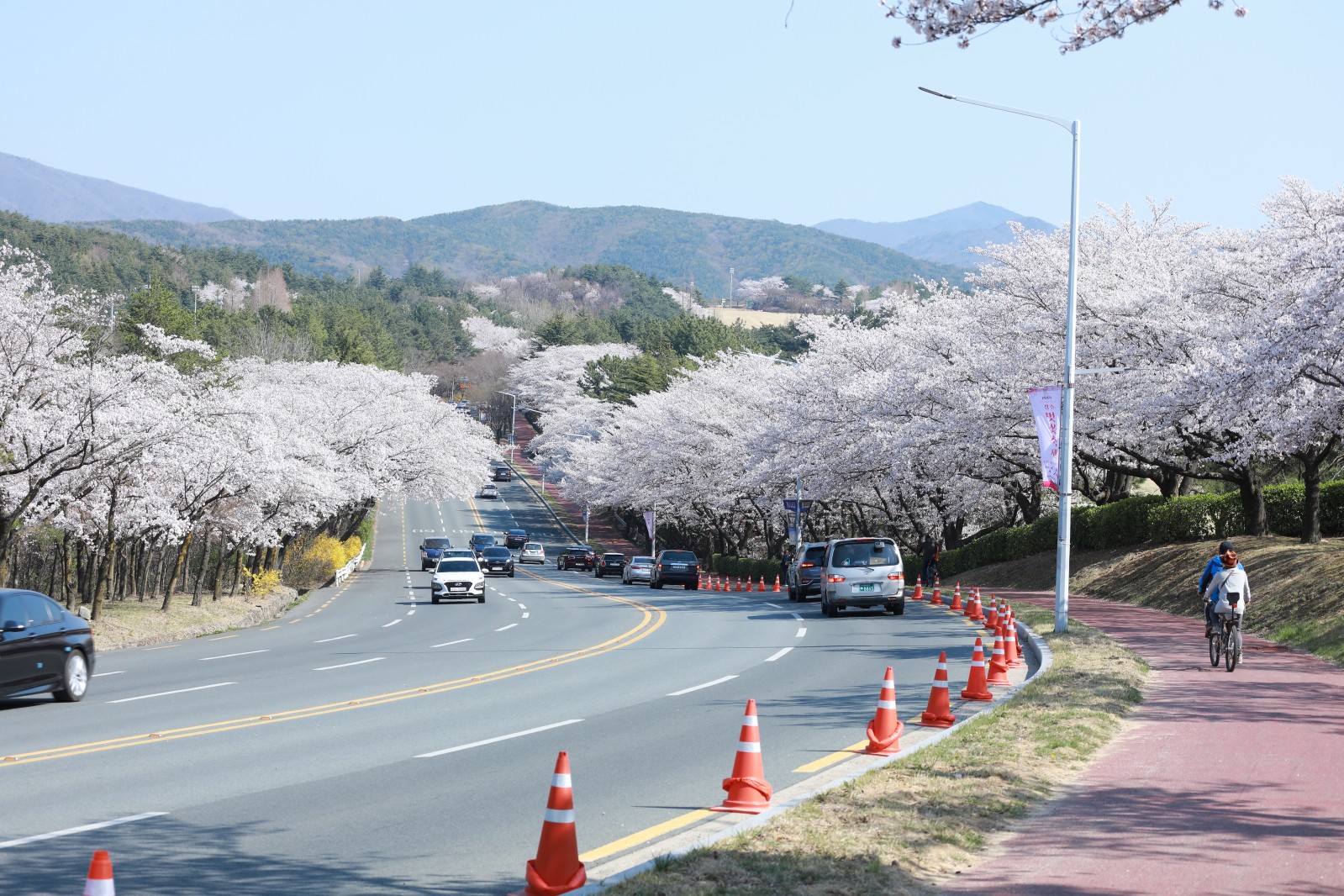 보문단지(2019년 봄)