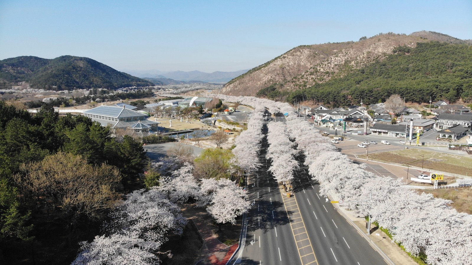 보문단지(2019년 봄)