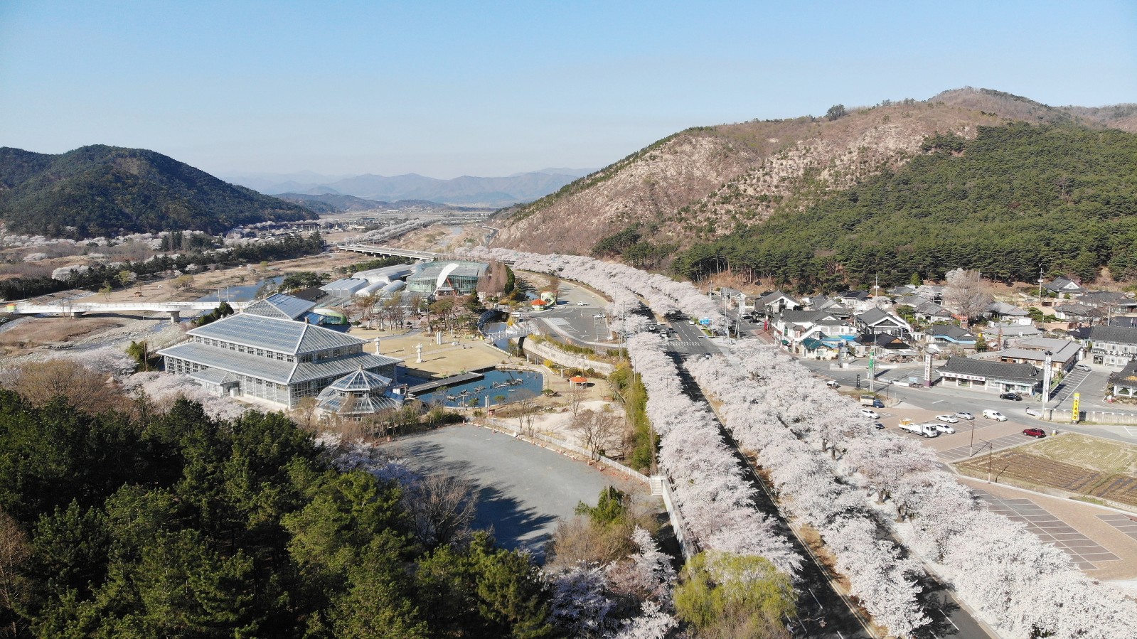 보문단지(2019년 봄)