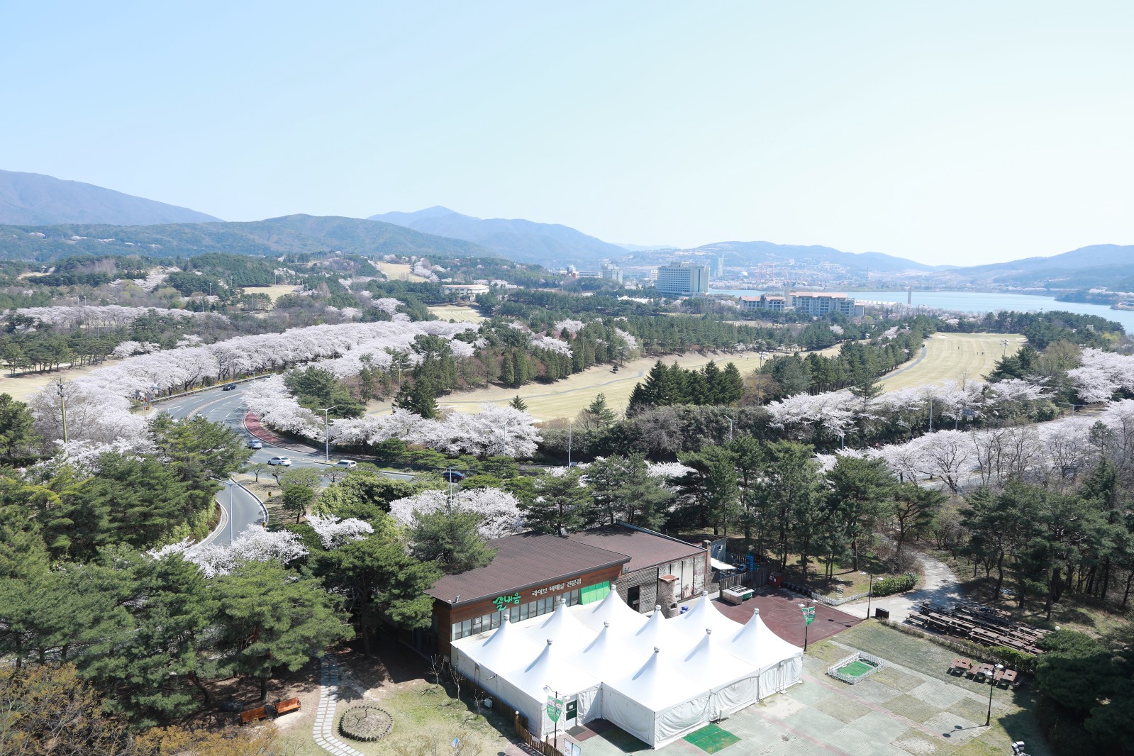 보문단지(2019년 봄)