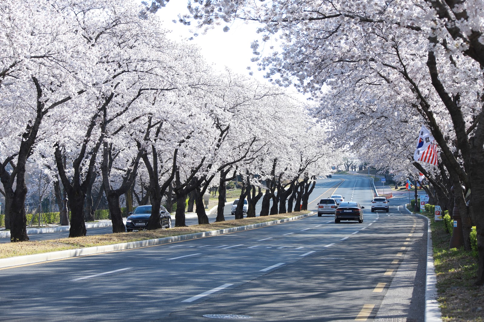 보문단지(2019년 봄)