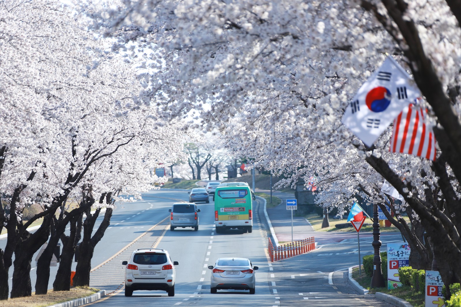 보문단지(2019년 봄)
