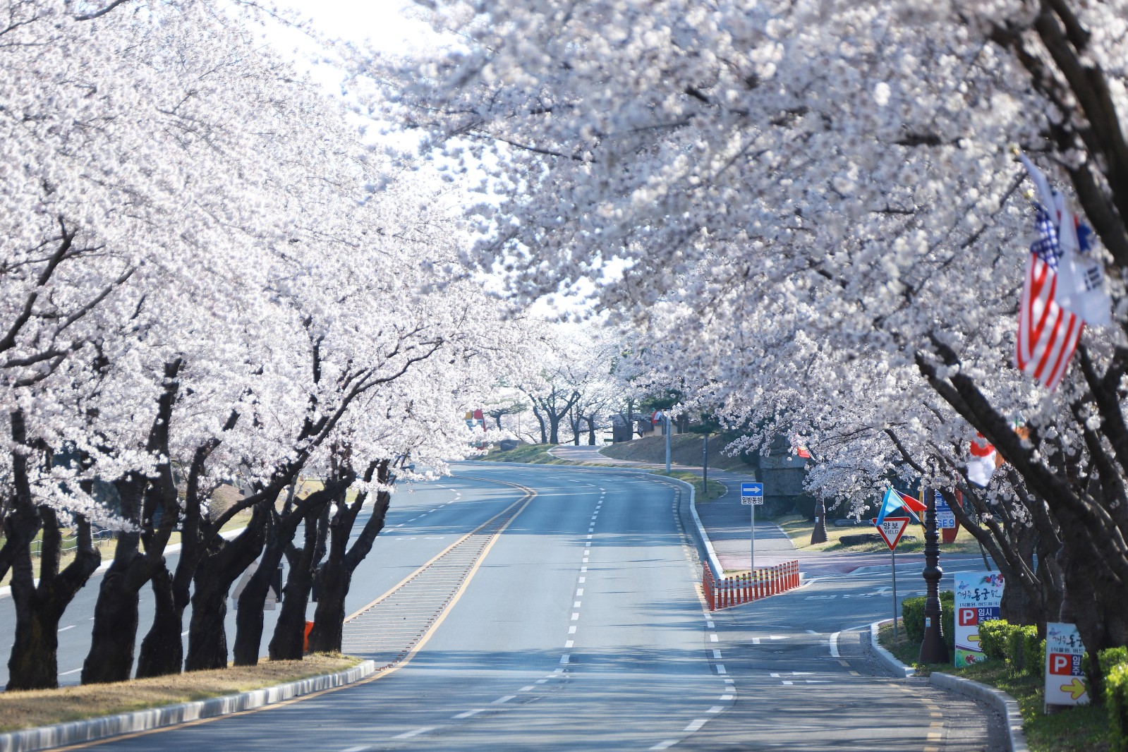 보문단지(2019년 봄)