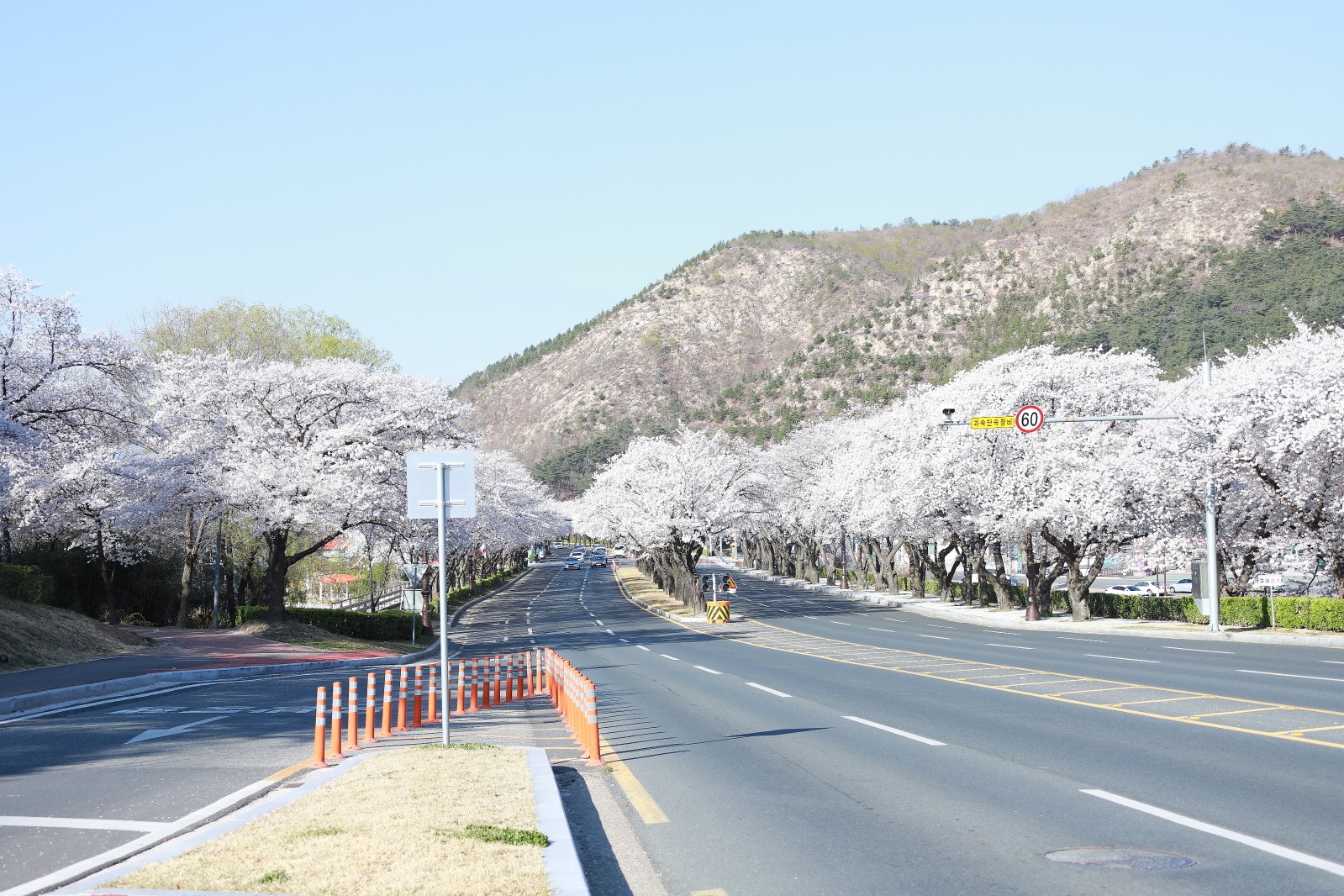 보문단지(2019년 봄)