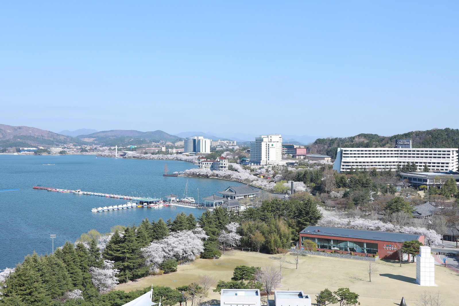 보문단지(2019년 봄)