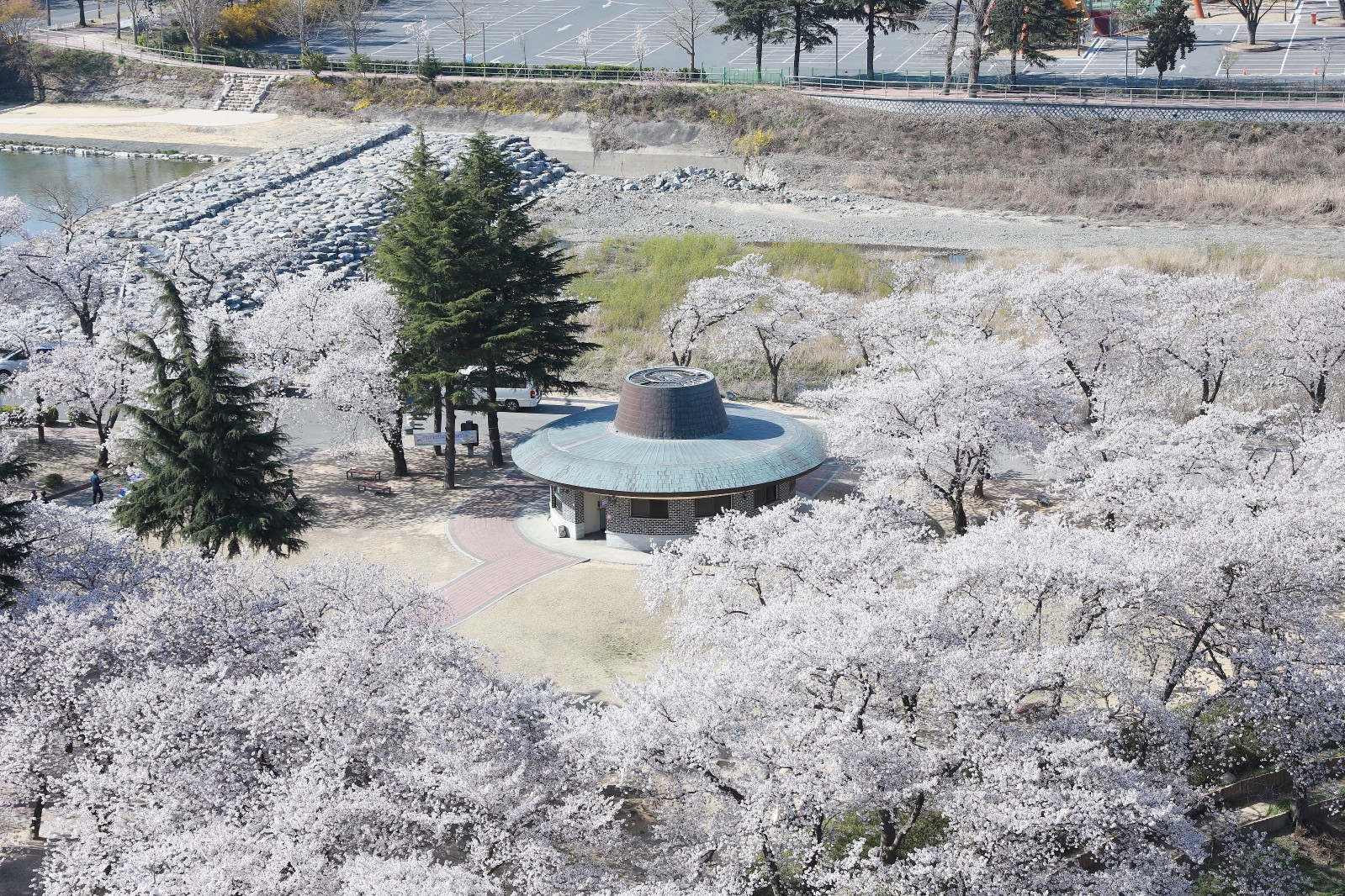 보문단지(2019년 봄)