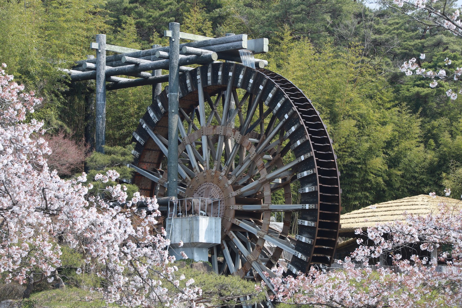 보문단지(2019년 봄)