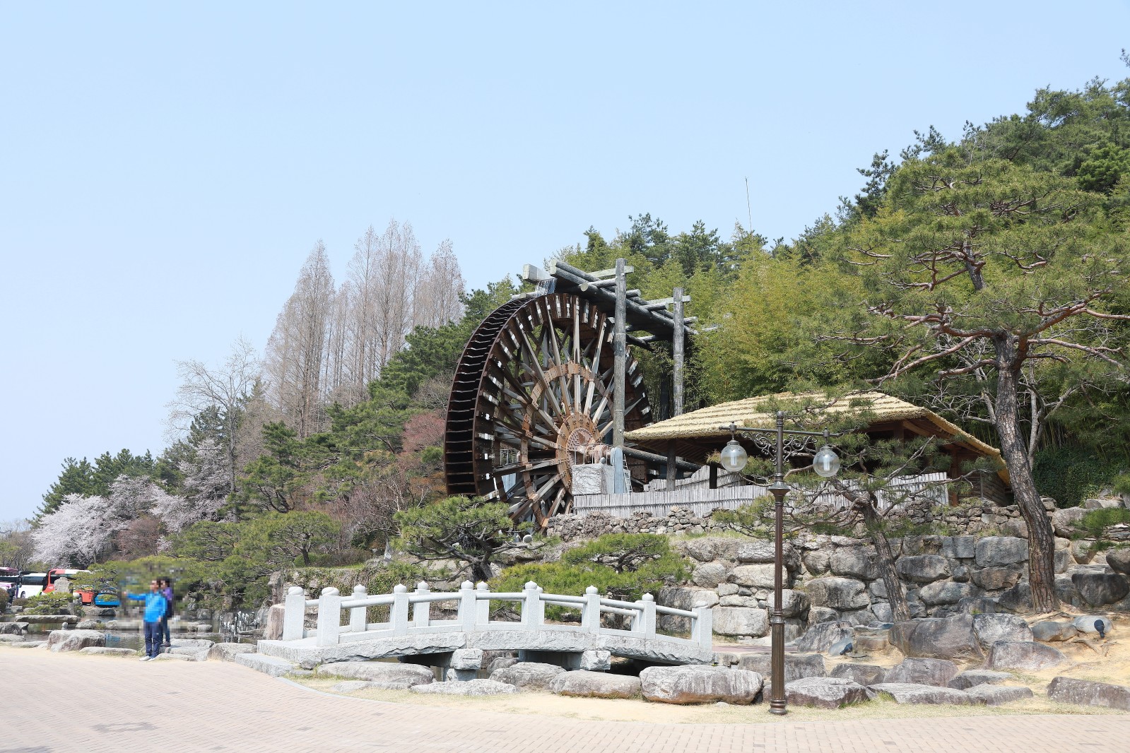 보문단지(2019년 봄)