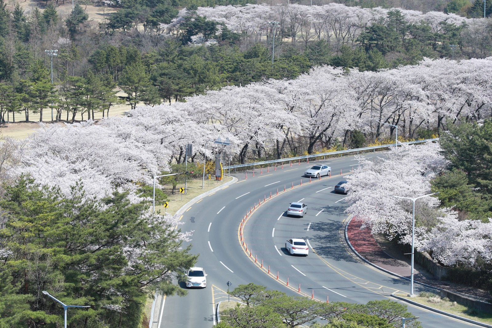 보문단지(2019년 봄)