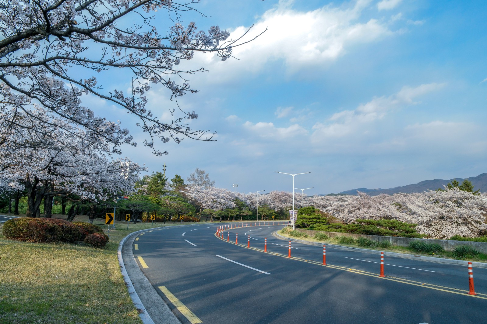 보문단지(2019년 봄)