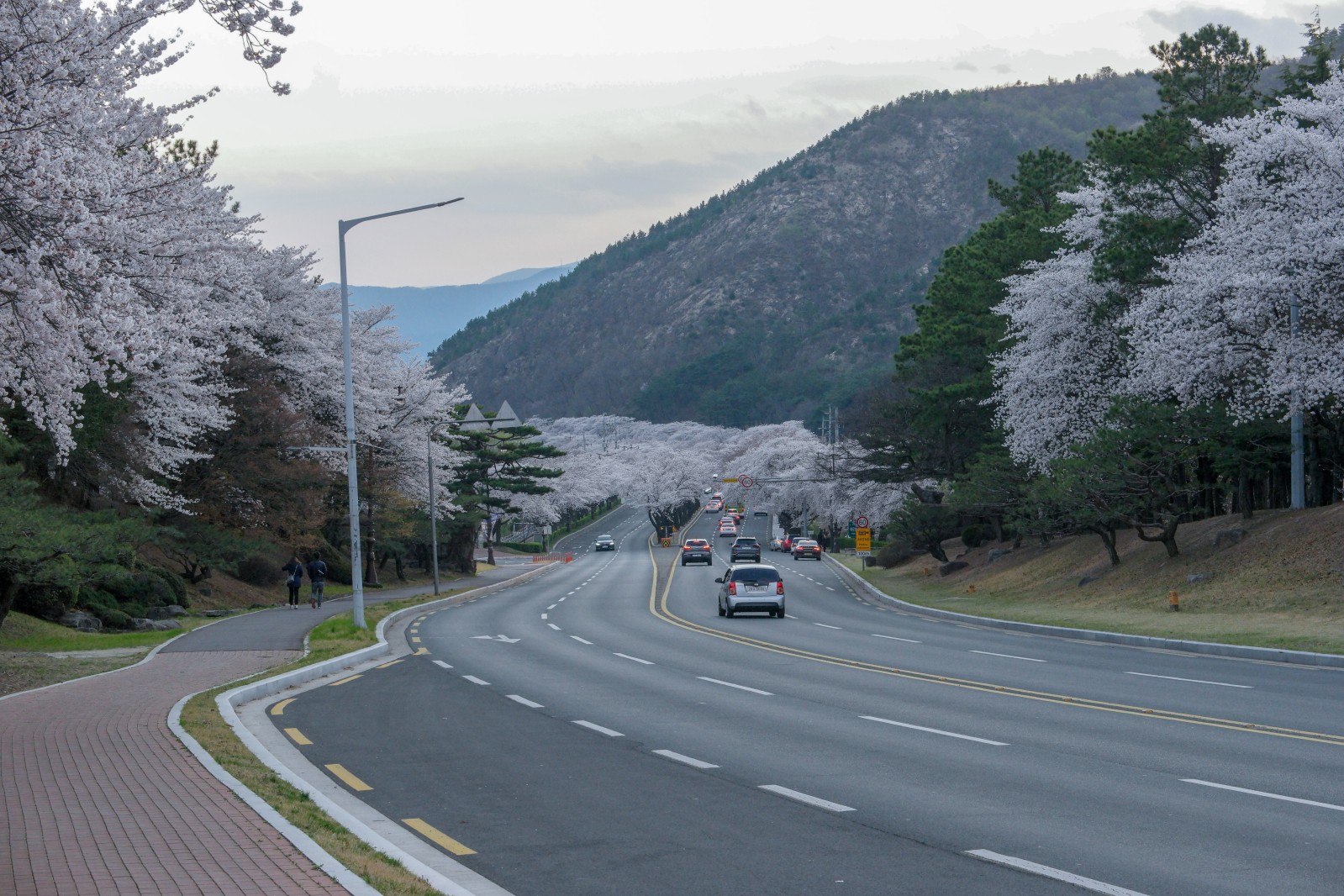 보문단지(2019년 봄)