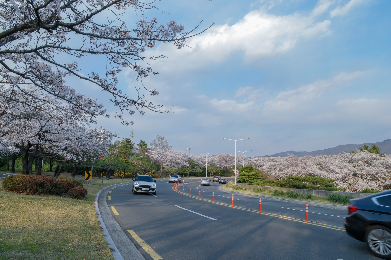 보문단지(2019년 봄)