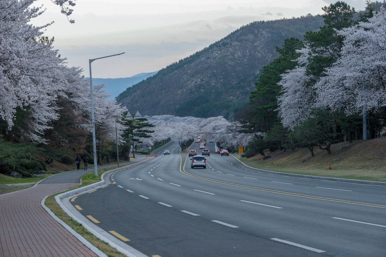 보문단지(2019년 봄)