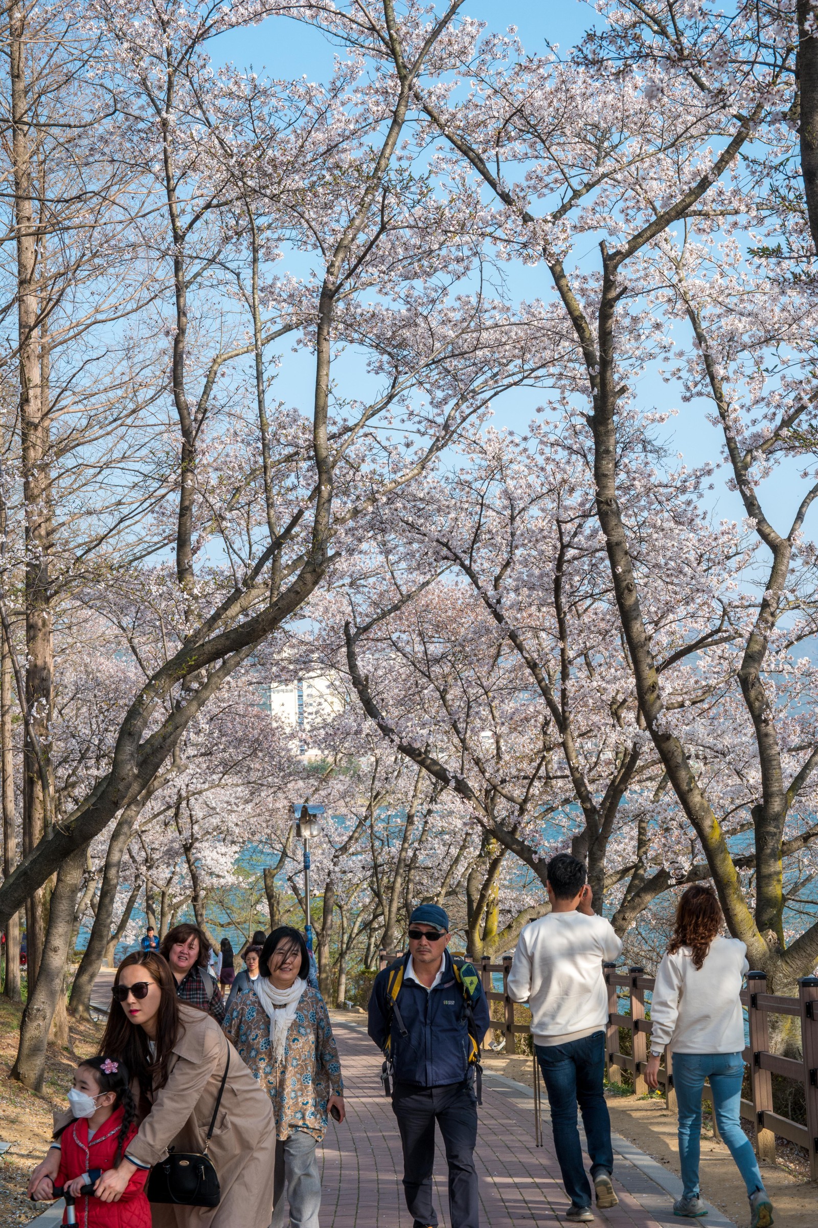 보문단지(2019년 봄)