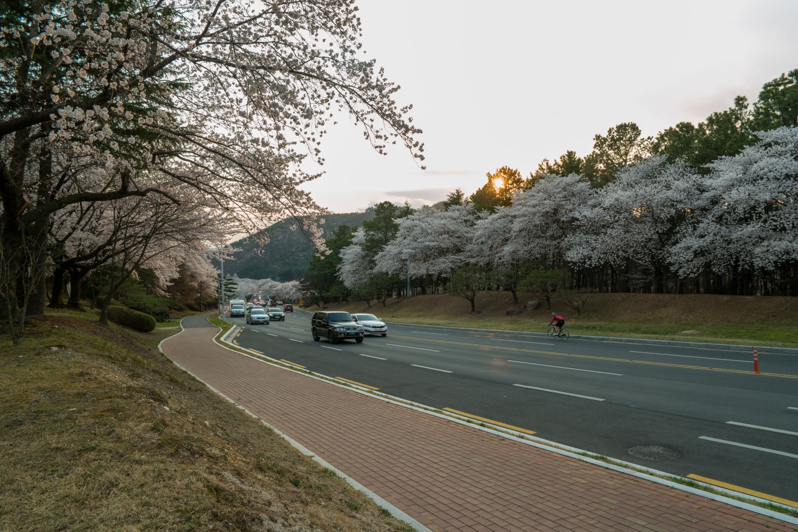 보문단지(2019년 봄)