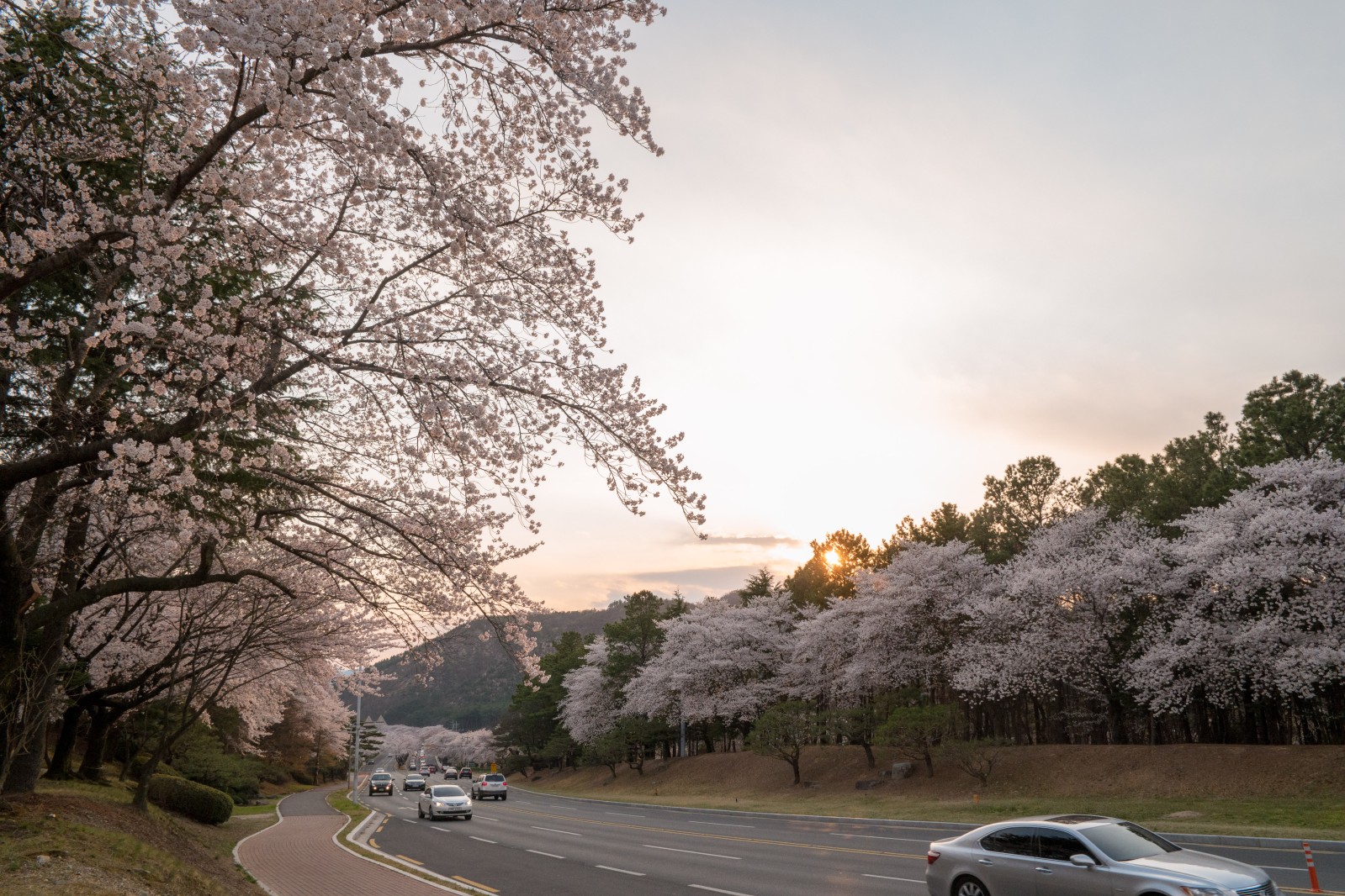 보문단지(2019년 봄)