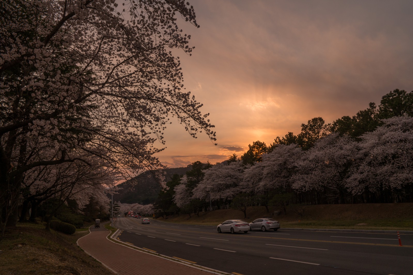 보문단지(2019년 봄)