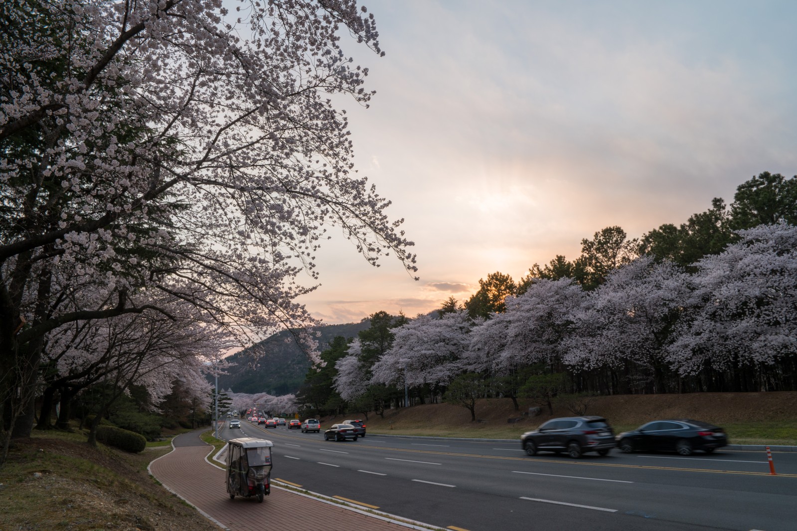 보문단지(2019년 봄)
