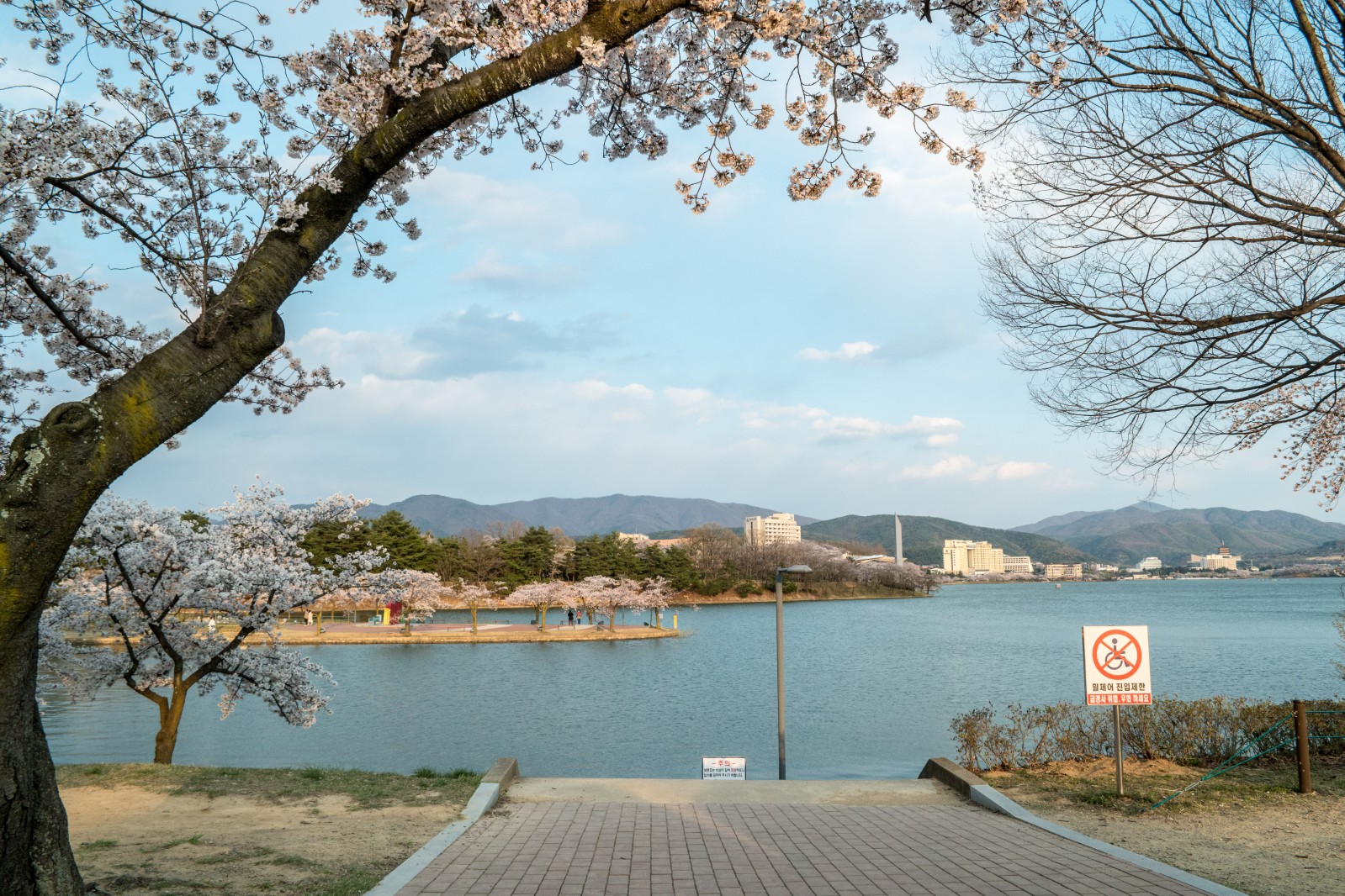 보문단지(2019년 봄)