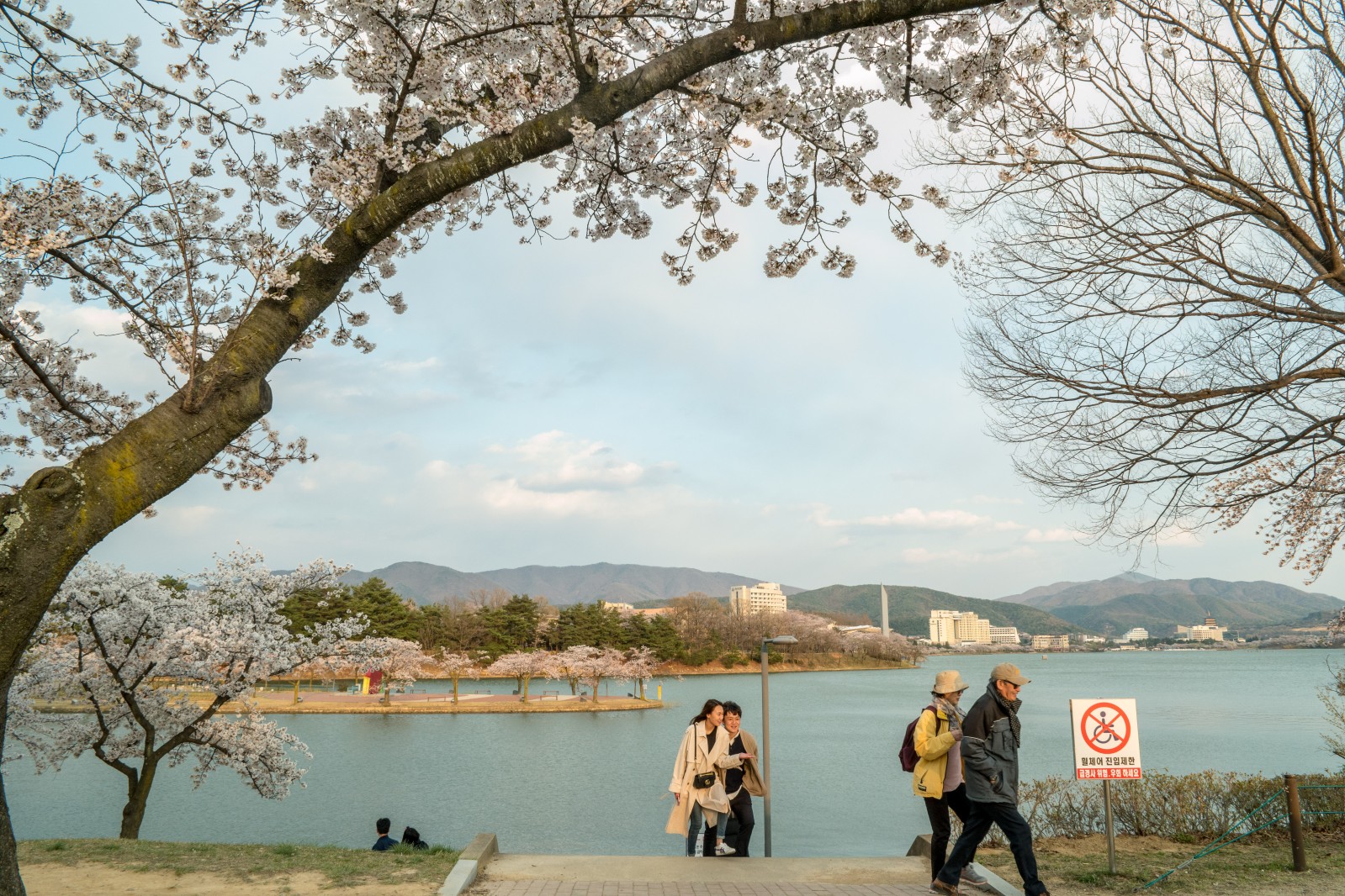 보문단지(2019년 봄)