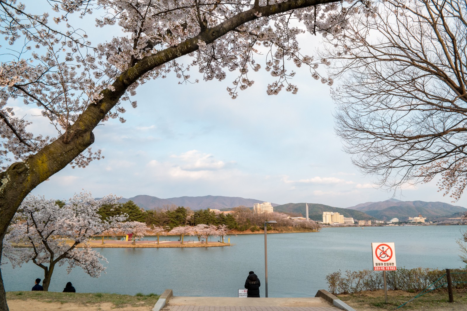 보문단지(2019년 봄)