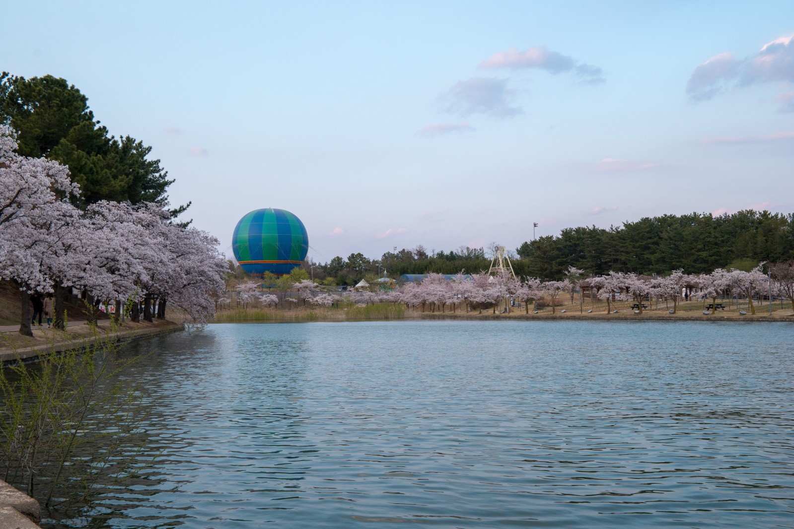 보문단지(2019년 봄)