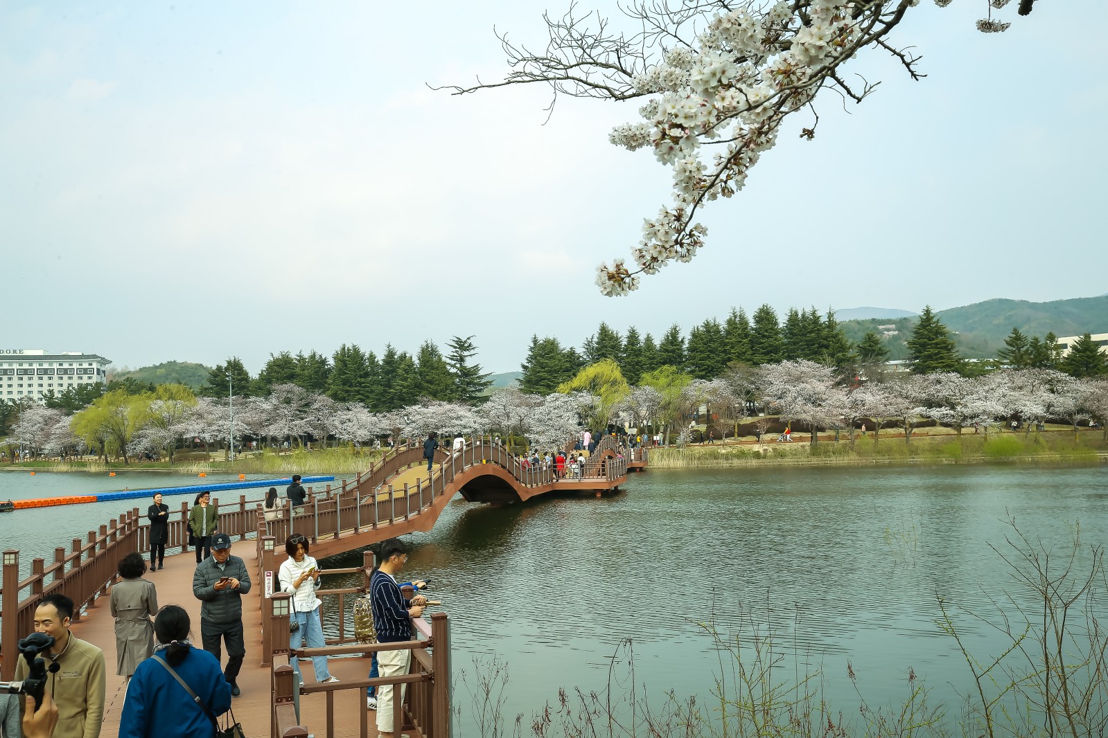 보문단지(2019년 봄)