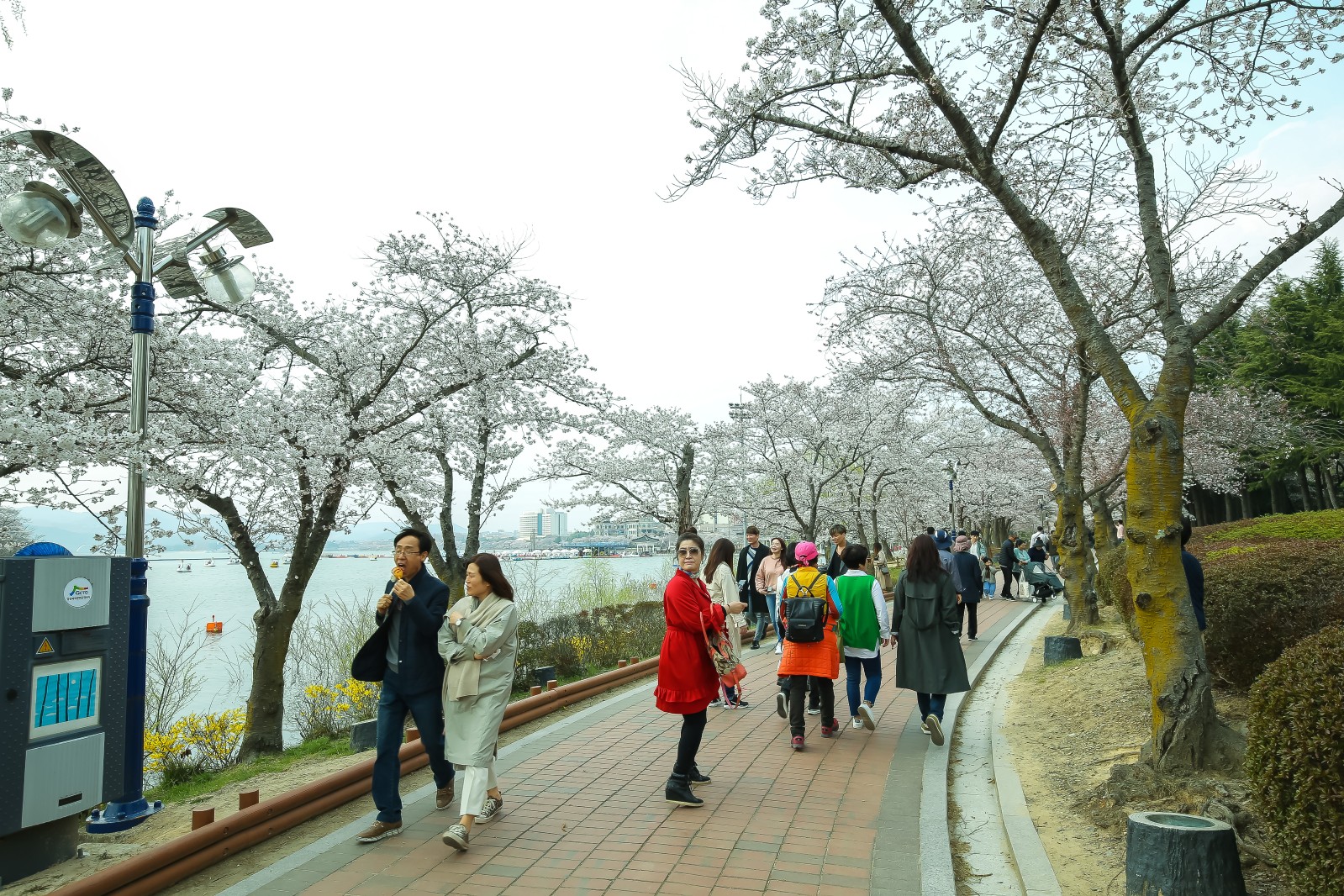 보문단지(2019년 봄)