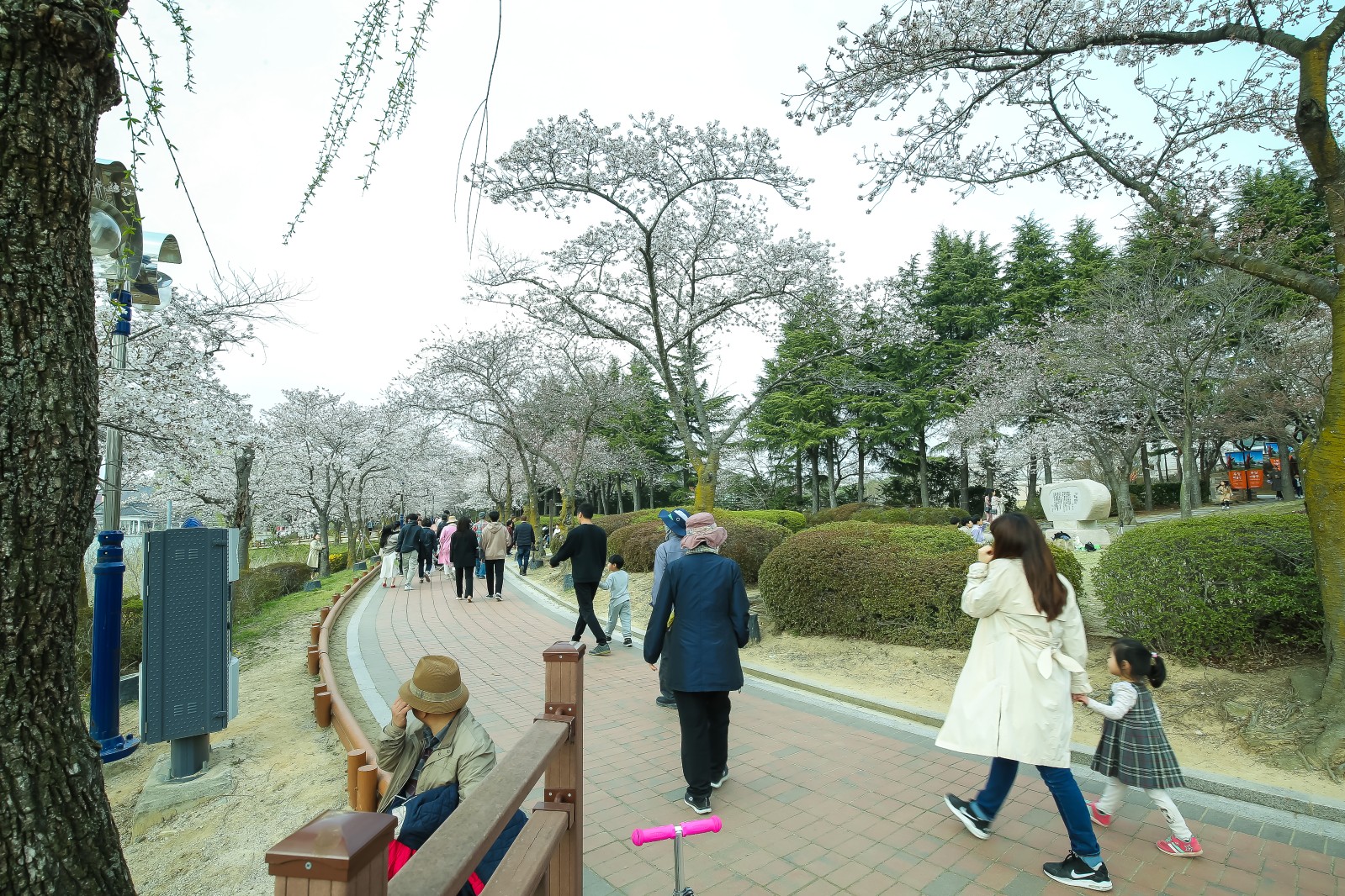 보문단지(2019년 봄)