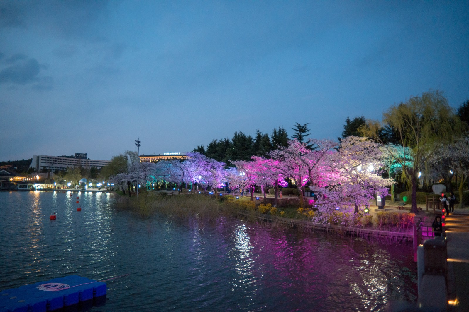 보문단지(2019년 봄)