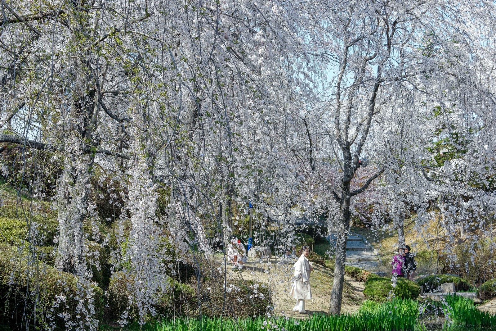 보문정(2019년 봄)