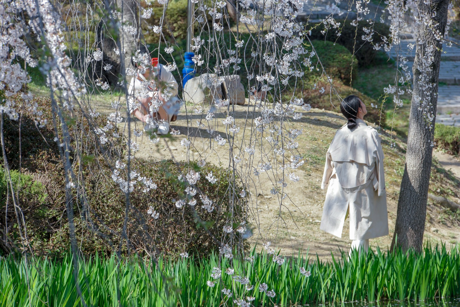보문정(2019년 봄)