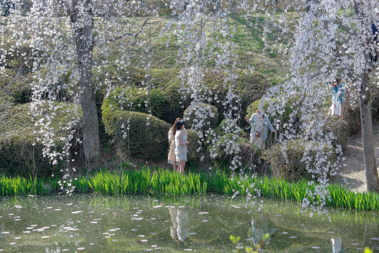 보문정(2019년 봄)
