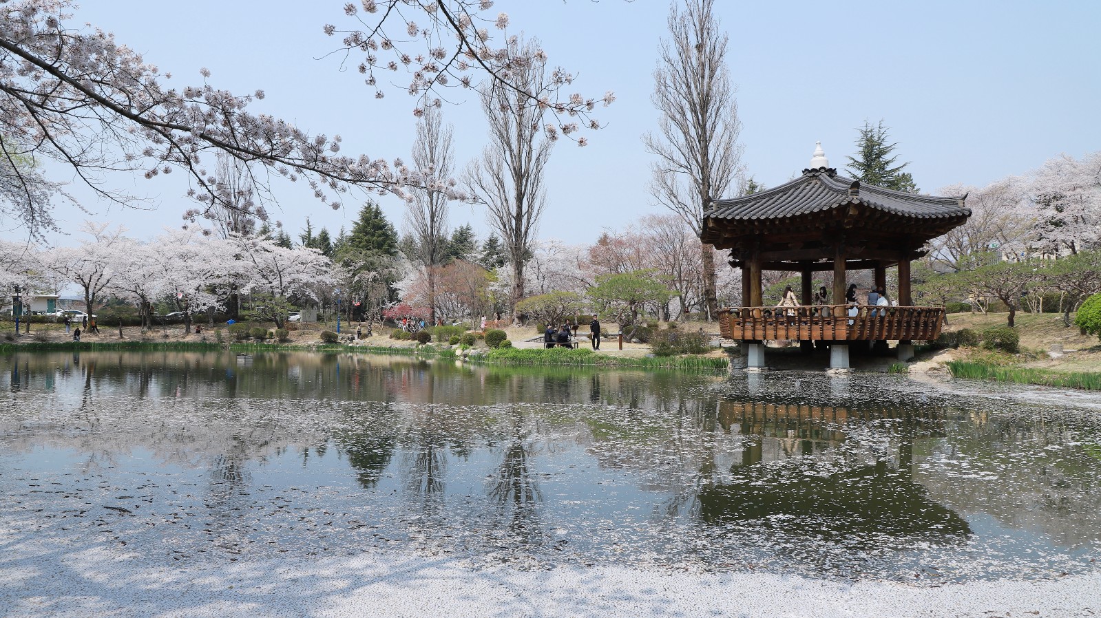 보문정(2019년 봄)
