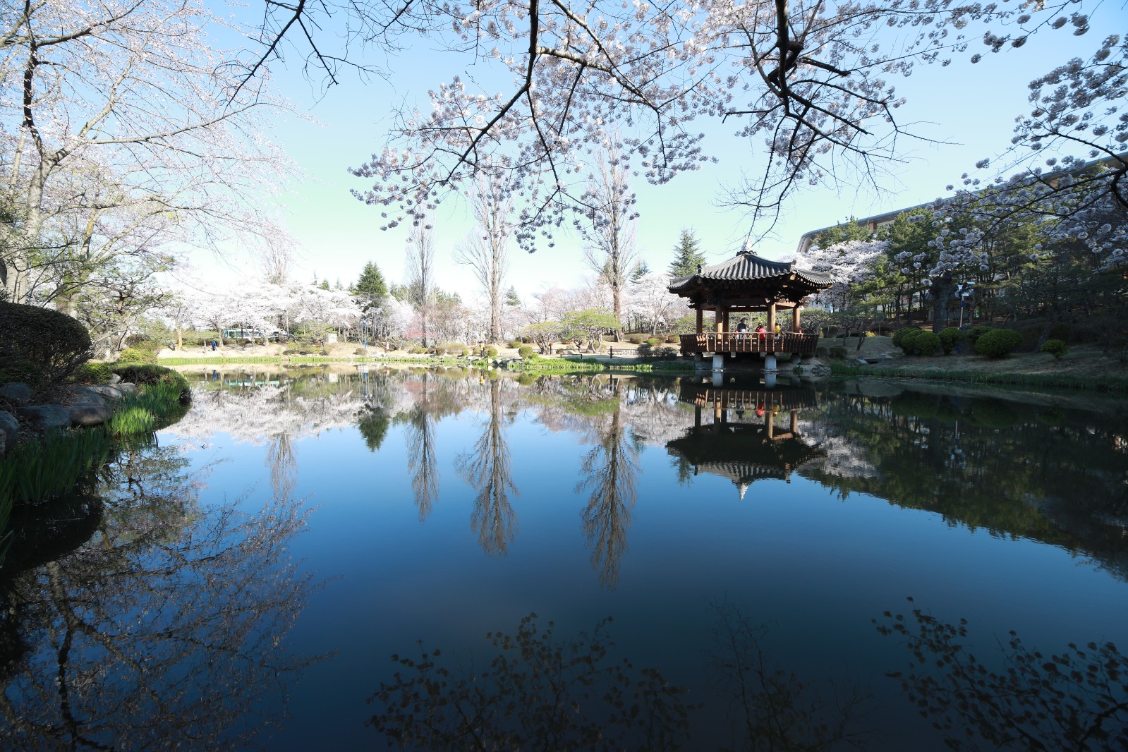 보문정(2019년 봄)
