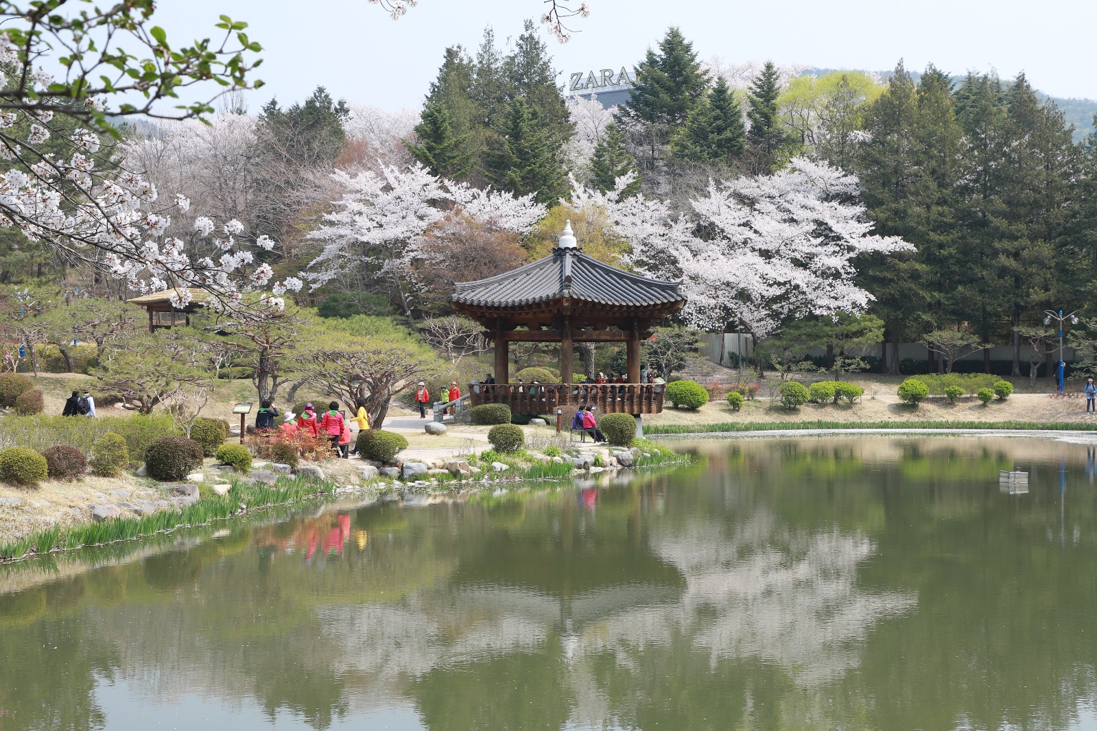 보문정(2019년 봄)