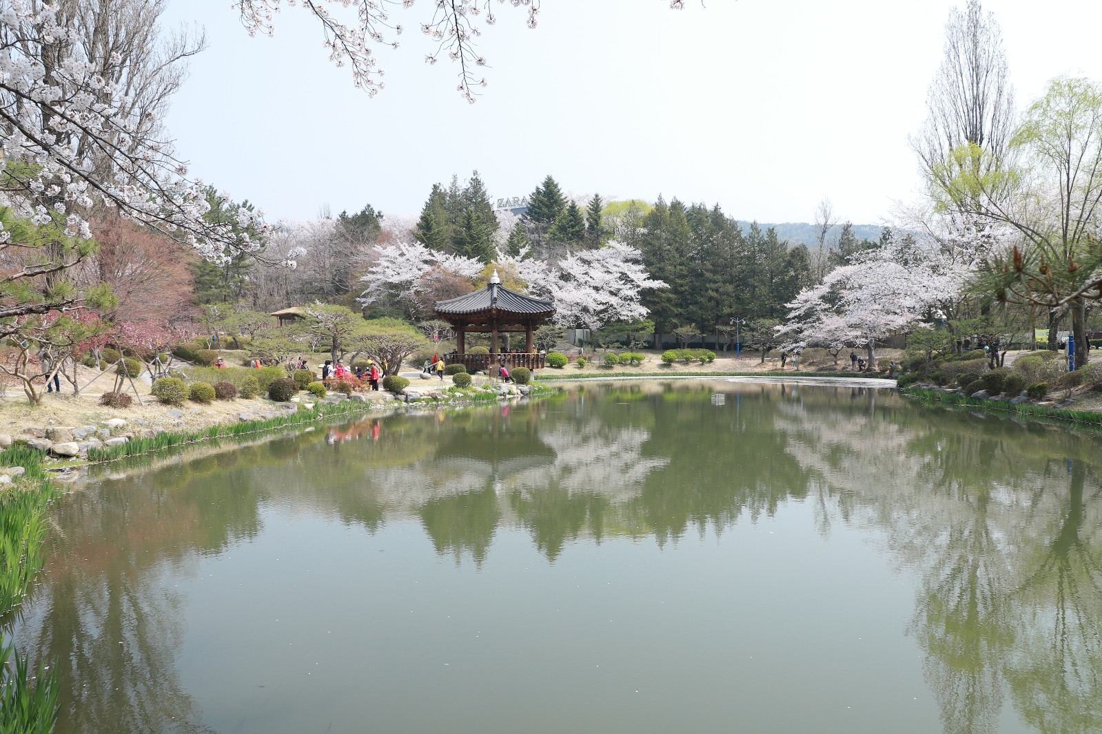 보문정(2019년 봄)