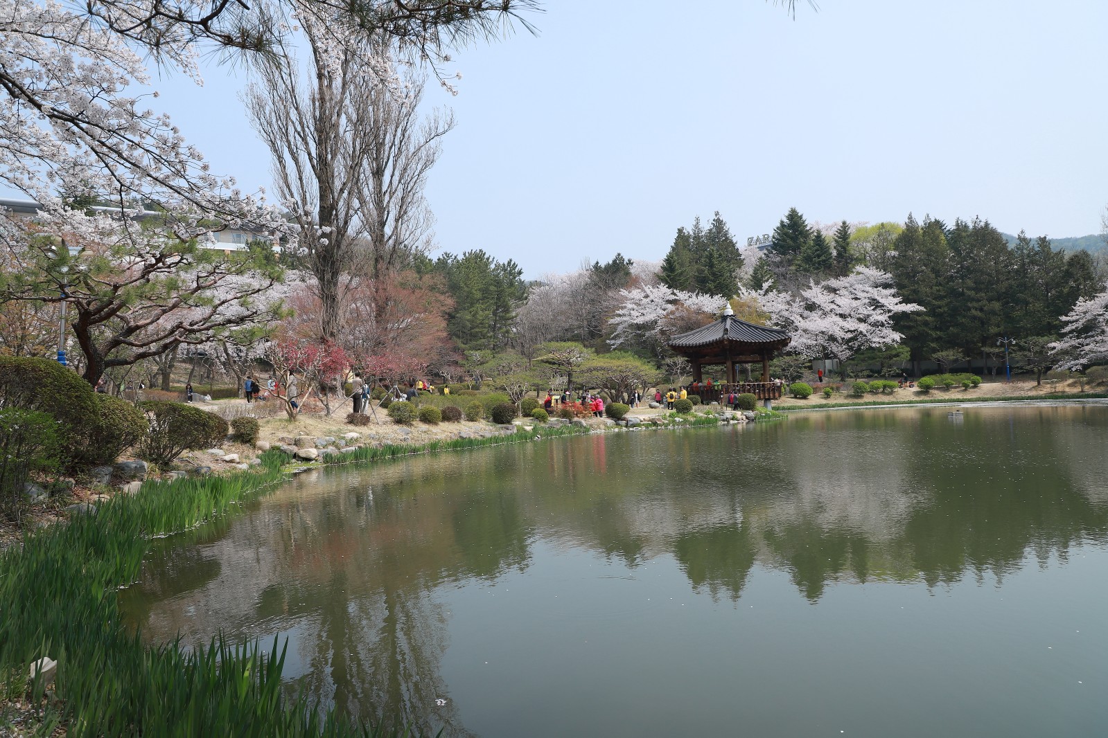 보문정(2019년 봄)