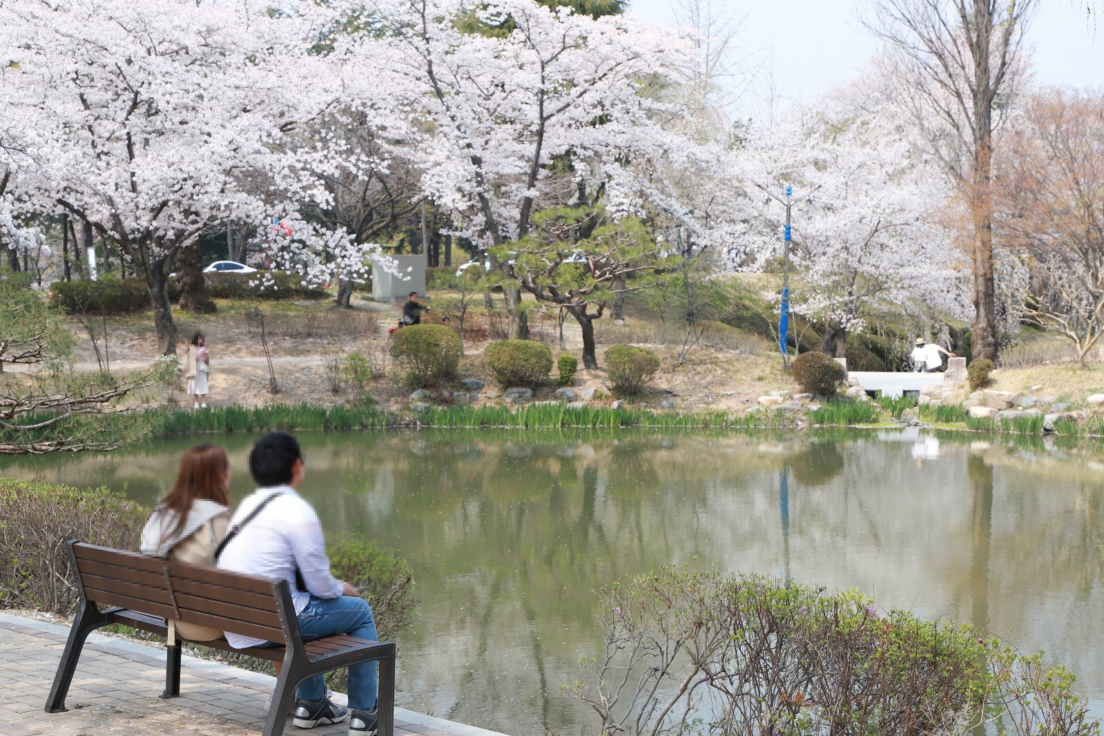 보문정(2019년 봄)