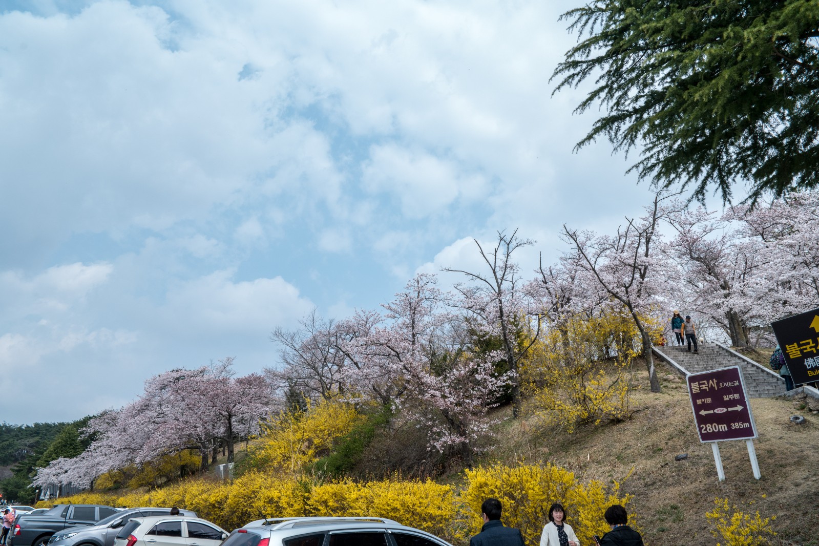 불국사(2019년 봄)