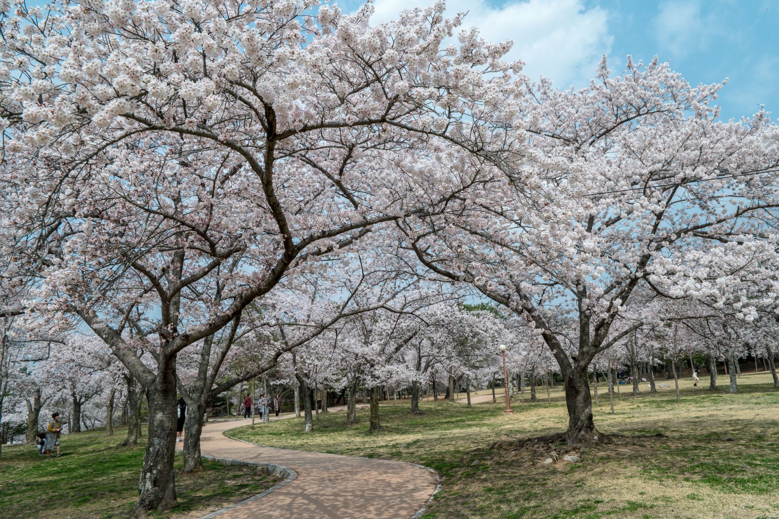 불국사(2019년 봄)