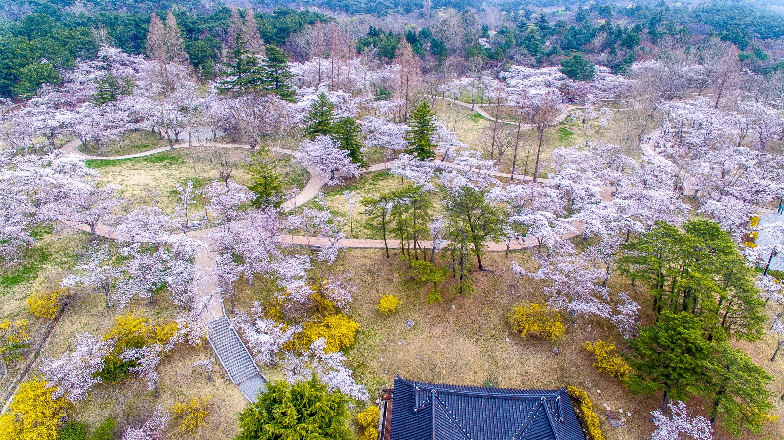 불국사(2019년 봄)